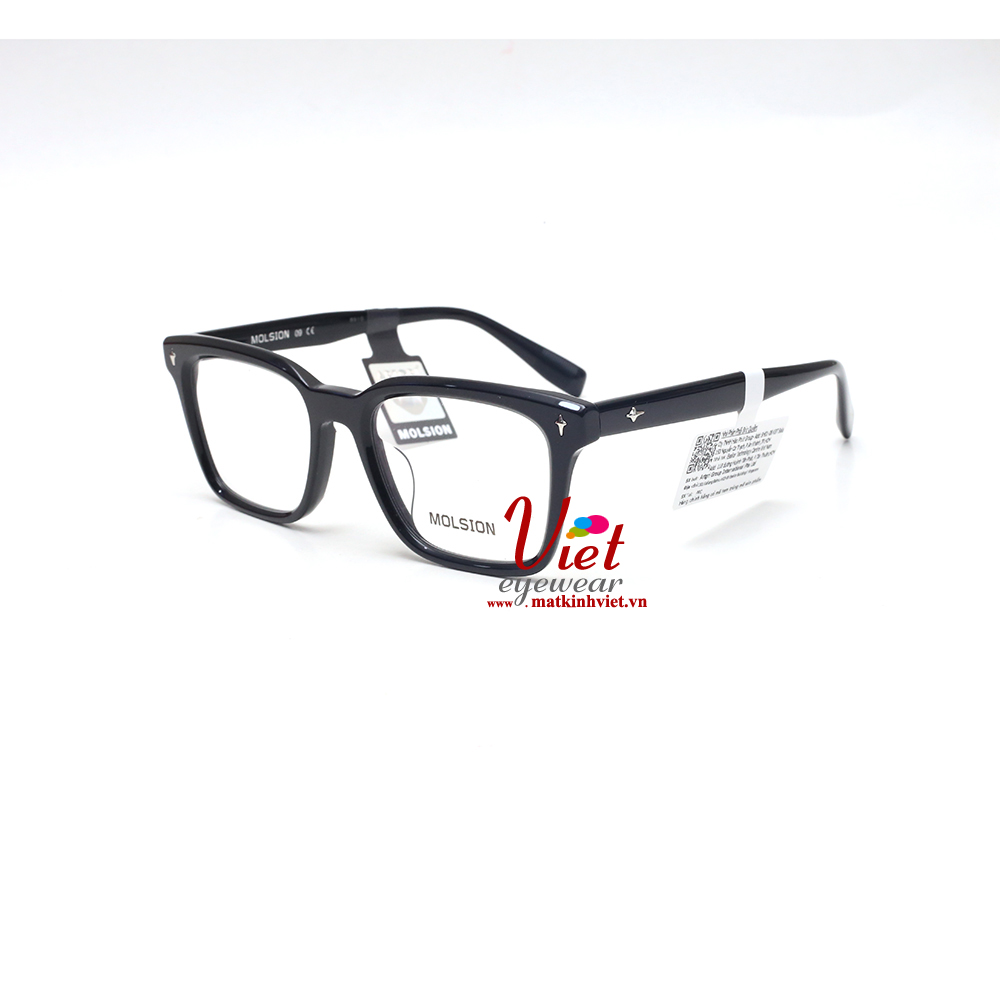 Gọng kính MOLSION MJ3119  B10